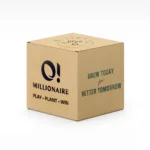 Ghaf Tree Seed Kit - Image 3