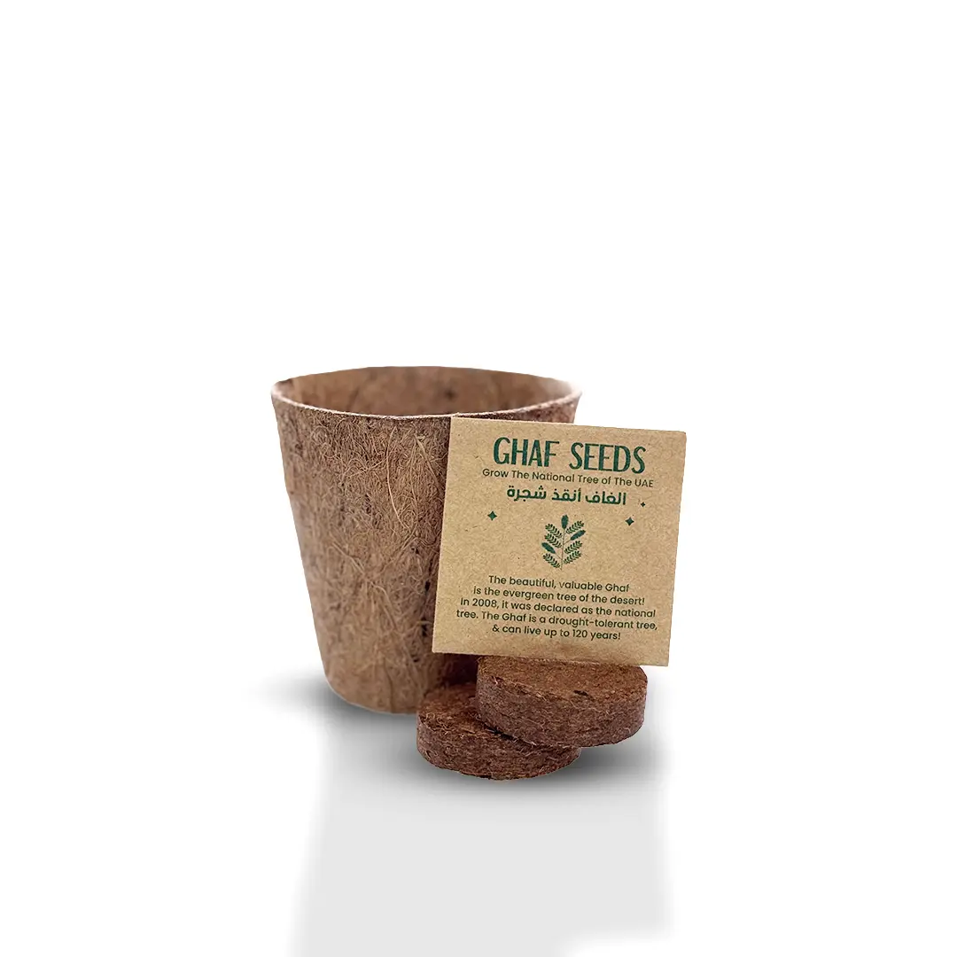 Box-2 Ghaf Tree Seed Kit - Image 1